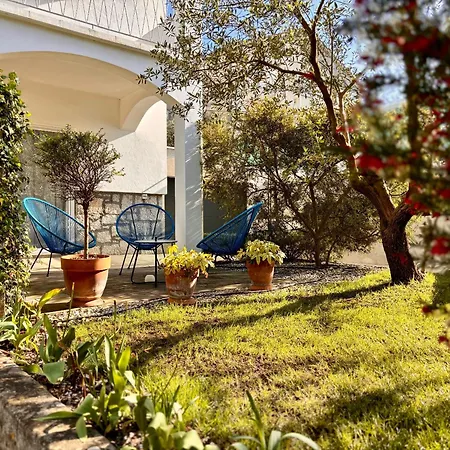 The Park Apartment